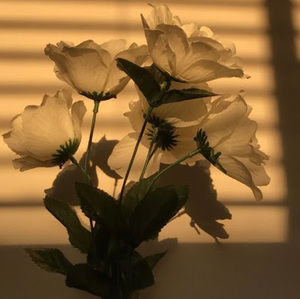 Meet your Posher, Aubrielle